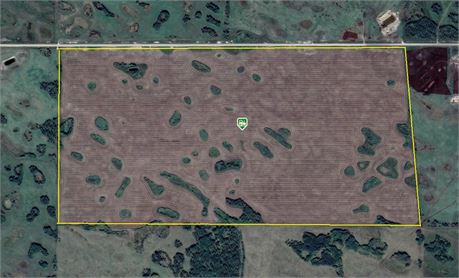 318 Acre Grain Land For Rent RM of Grayson No 184
