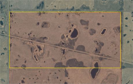 2 Quarter Grain Land For Rent RM of McLeod No 185