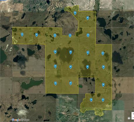 19 Quarter Pasture and Hay land For Rent RM of Elmsthorpe No 100
