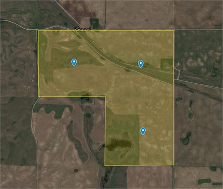 3 Quarter Grain Land For Sale RM Of Biggar No. 347
