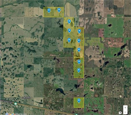 11 Quarter Grain Land For Rent in RM of Elcapo No 154