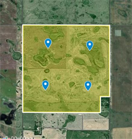 For Rent One Section of Grain Land in RM of Griffin No 66