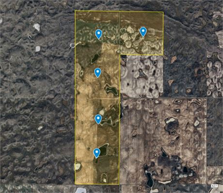 For Sale 5 Quarters Farmland RM 163