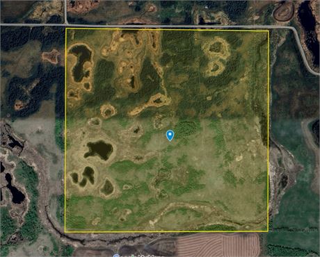 Rental Auction 1 Quarters RM 277