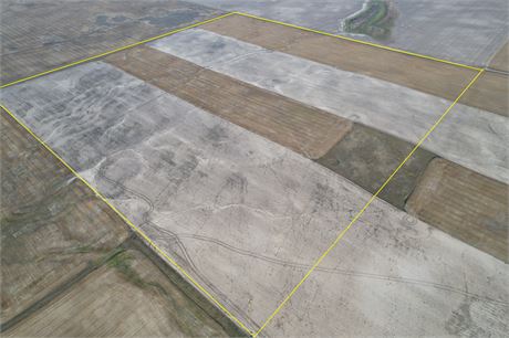 Rental Auction Full Section RM 142