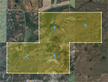 Rental Auction  4 Quarters Tame Grass Pasture RM 347