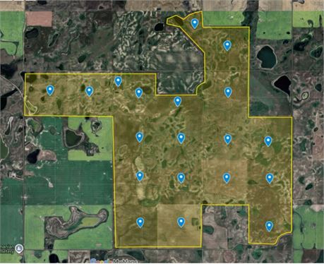 Rental Auction 17 Quarter Pasture Block RM 100