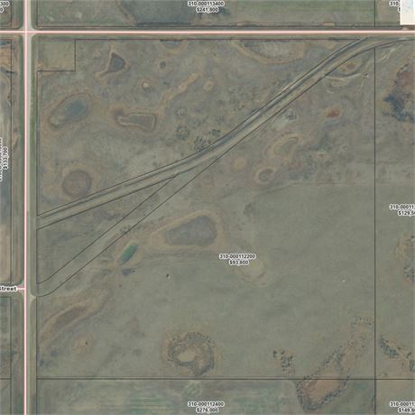 For Sale 1 Quarter Pasture