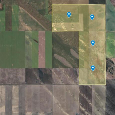 Rental Auction 4 Quarters RM 229